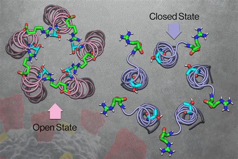 Targeting a coronavirus ion channel could yield new Covid